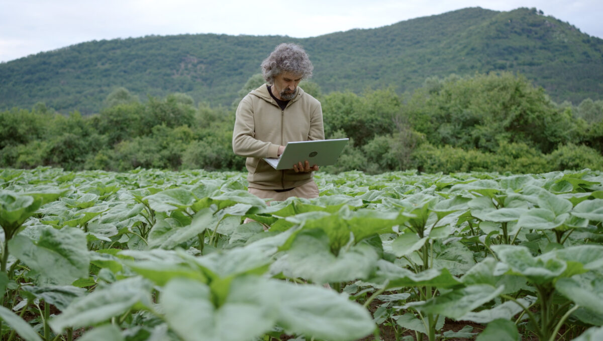 Agriculture is ready for AI, but its data isn’t