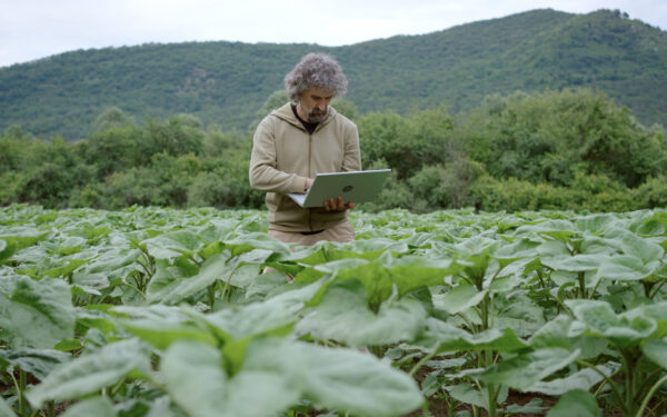Agriculture is ready for AI, but its data isn’t