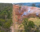 Almost 90 football fields of woody habitat were bulldozed every day in NSW – despite pledges to rein it in