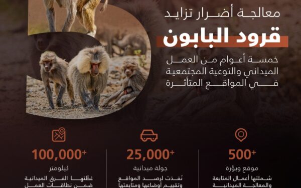 الحياة الفطرية: جهود ميدانية متواصلة للحد من أضرار تزايد قرود البابون