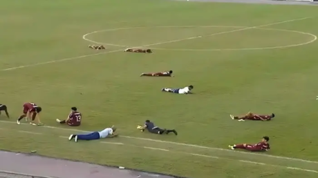 سرب نحل يوقف مباراة بالدوري البرازيلي