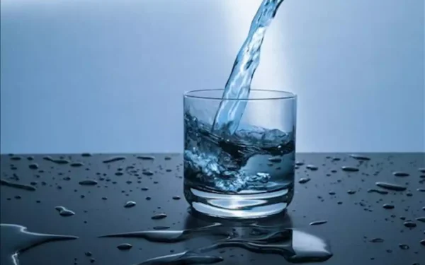 هل يقلل شرب الماء أثناء الوجبات الشهية؟