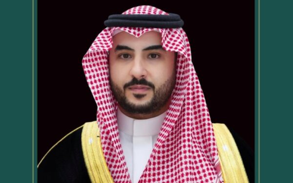 وزير الدفاع يبحث مجالات التعاون العسكرية مع نظيرته الجنوب أفريقية