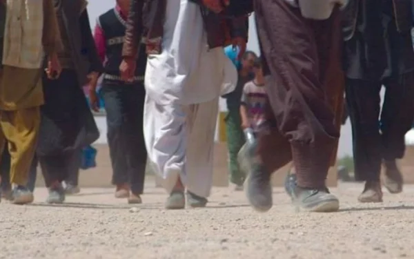 Five Afghans Die, 14 Missing After Attempting Illegal Crossing Into Iran Through Desert