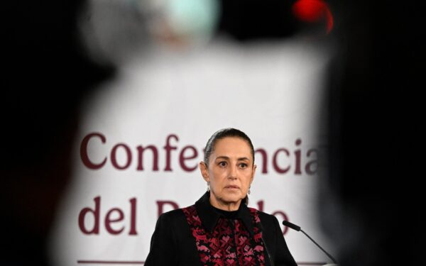 Mexico begins legal action in US over deaths of its citizens in ICE custody