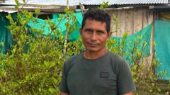 This farmer wanted to quit the cocaine industry – he couldn't
