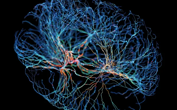Want Better Focus? A New Johns Hopkins Study Says an Ancient Brain Circuit Controls It