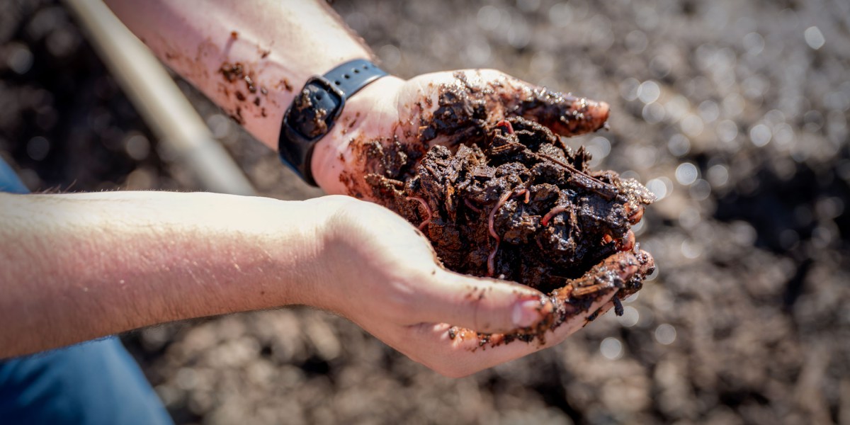 Why worms (and microbes) are catching on as a manure pollution solution