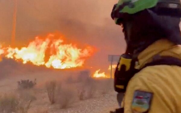 Wildfires in southern Spain kill at least 12