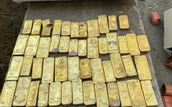 18-Year-Old Student Discovers Hidden €9 Million Gold Hoard While Digging Sewage Trench
