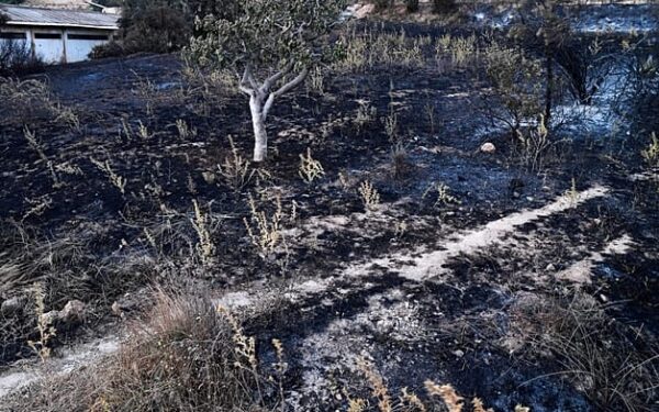 58 حريقاً في 16 ولاية بالجزائر.. وإجلاء عائلات مع اقتراب النيران من المناطق المأهولة