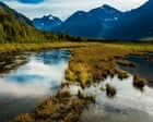 Alaska athlete uses bear spray to fend off animal attack: ‘nightmare come to life’