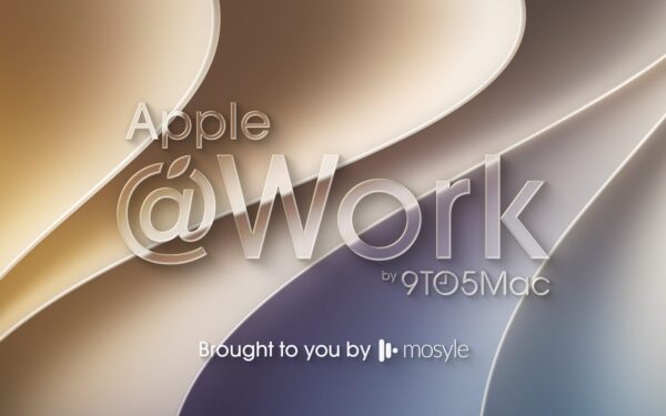Apple @ Work: Understanding Apple Business Manager roles and permissions