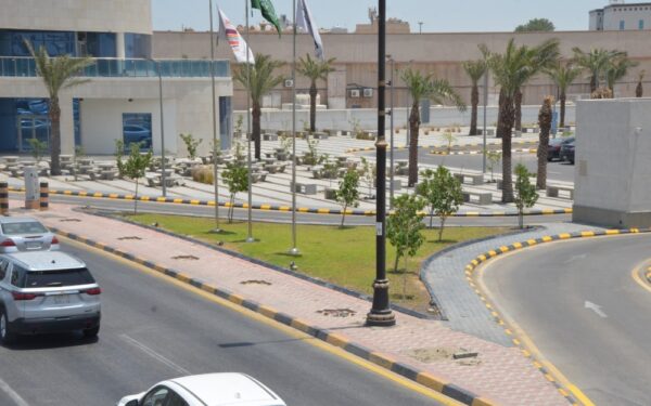 الشرقية تحافظ على خضرتها في ذروة الصيف.. ري ذكي وجولات ميدانية
