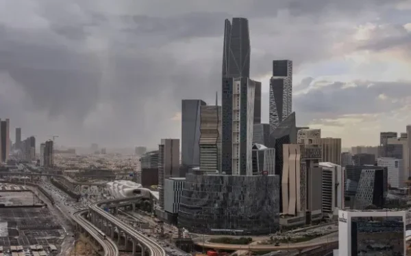 المجلس الاقتصادي السعودي يستعرض فرص دعم التنمية