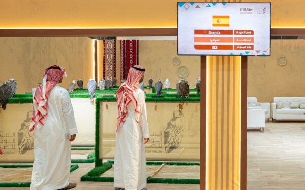 باليوم الأول لمشاركتها.. مزرعة إسبانية تبيع كامل إنتاجها بمزاد الصقور