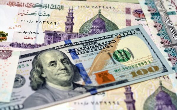 تغطية العجز والوفاة والفصل التعسفي.. تفاصيل "معاشك بالدولار" للمصريين بالخارج ومزاياها