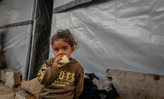 تقارير عن مقتل مزيد من الأطفال الفلسطينيين، واليونيسف تحذر من سوء التغذية في غزة