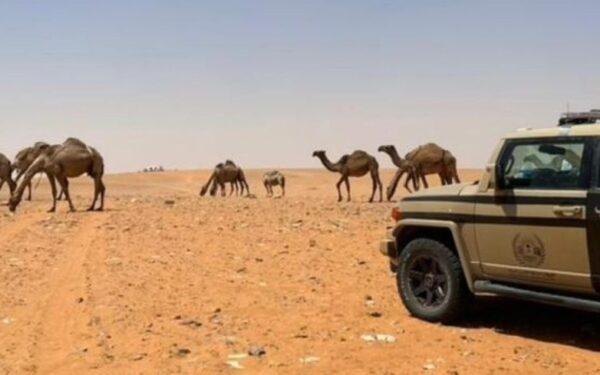 ضبط مخالف لنظام البيئة في محمية الإمام تركي بن عبدالله الملكية