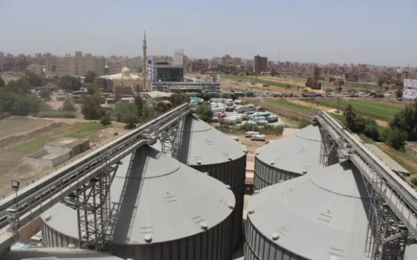 قلق مصري من تأثر واردات القمح بسبب «اضطرابات البحر الأسود»