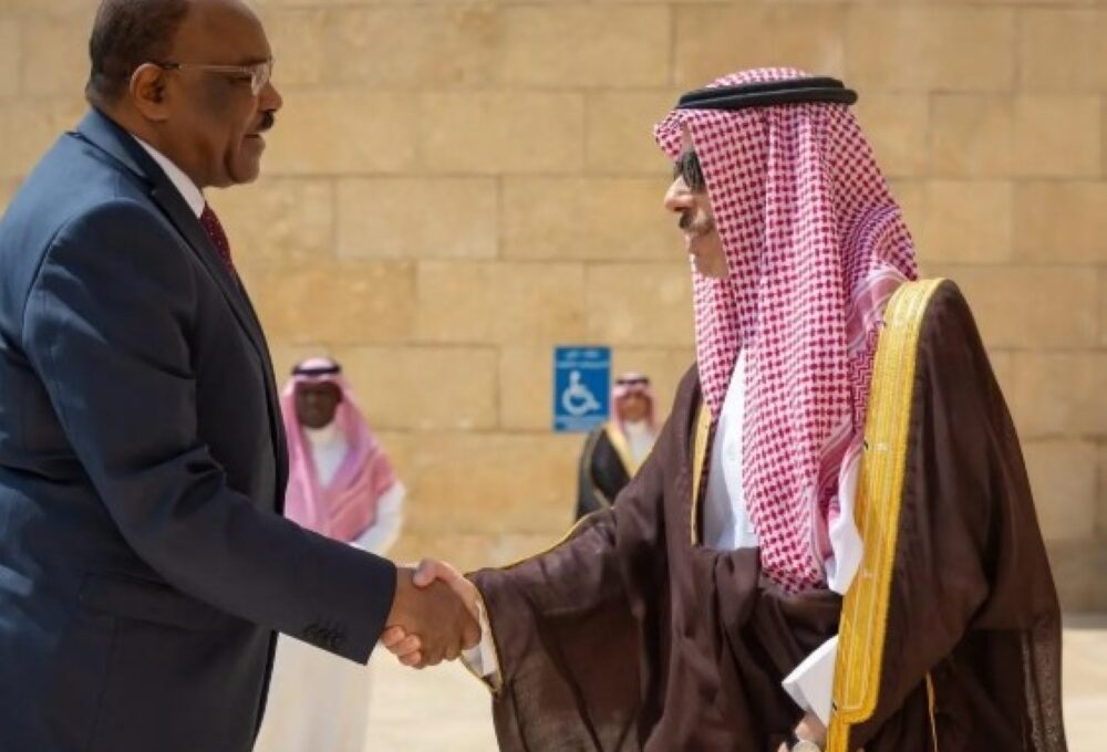 وزير الخارجية ونظيره السوداني يرأسان اجتماع لجنة المتابعة ويناقشان المستجدات