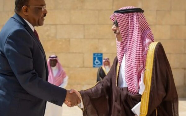 وزير الخارجية ونظيره السوداني يرأسان اجتماع لجنة المتابعة ويناقشان المستجدات