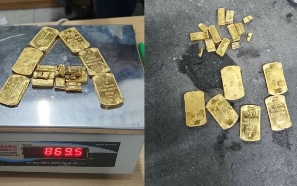 Saudi Passenger Held at India's Delhi Airport for Smuggling Gold Hidden in Electric Scooter Tyres