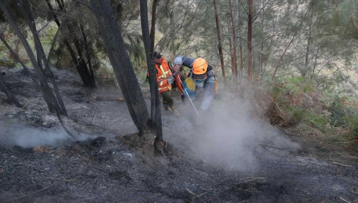 Wildfire at Indonesia's Mount Bromo mostly contained
