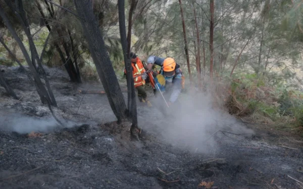 Wildfire at Indonesia's Mount Bromo mostly contained