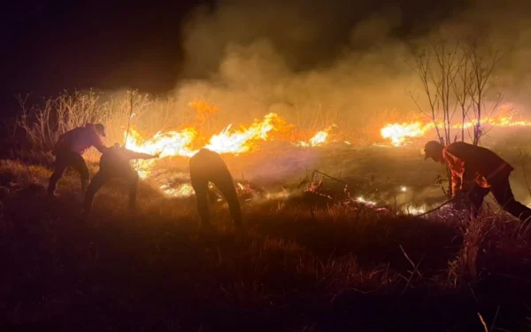 Wildfire in Indonesian national park grows